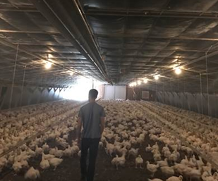 Poultry Project Highlights Picture FY16.png